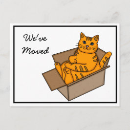 Kat in een doos "Wij bewegen"Nieuw Adres Aankondigingskaart