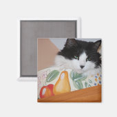 Kat in een fruitkam magneet (Voorkant / Achterkant)