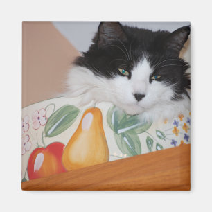 Kat in een fruitkam magneet