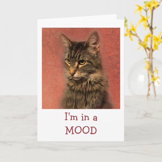 Kat in een goede Kaart (Gele Bloem)