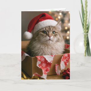 Kat in een kerstcadeau doos kaart