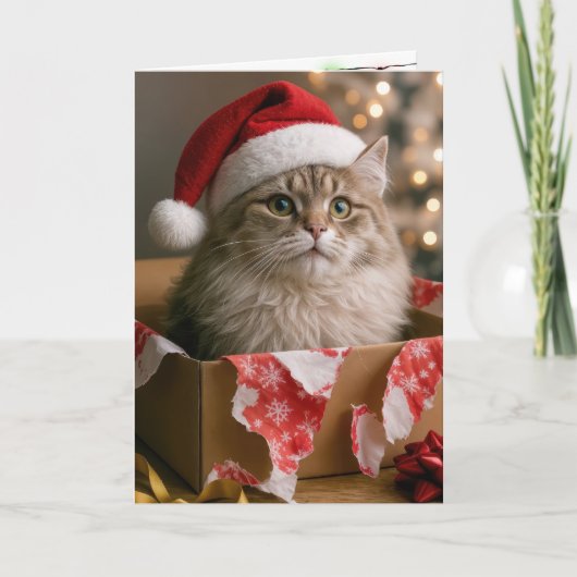 Kat in een kerstcadeau doos kaart (Voorkant)