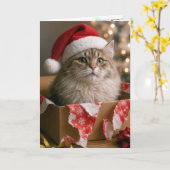 Kat in een kerstcadeau doos kaart (Gele Bloem)