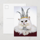 Kat in een kroon uitnodiging briefkaart (Voorkant / Achterkant)