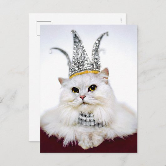 Kat in een kroon uitnodiging briefkaart (Voorkant / Achterkant)