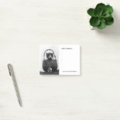 Kat in een mandje  foto post-it® notes (Kantoor)