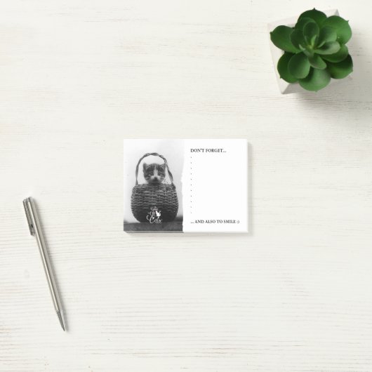 Kat in een mandje  foto post-it® notes (Kantoor)