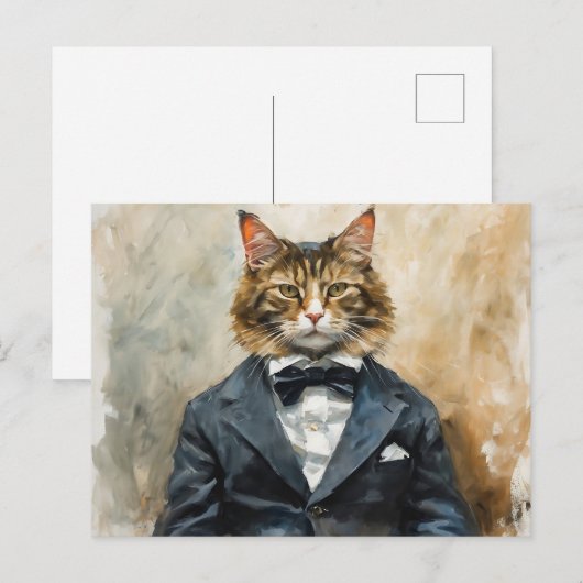 Kat in een pak briefkaart (Voorkant / Achterkant)