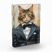 Kat in een pak fotoblokken (Links)