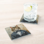 Kat in een pak glazen onderzetter (Schuin)