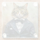 Kat in een pak glazen onderzetter (Achterkant)