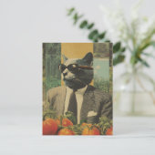 Kat in een pak met zonnebril in een tomatentuin briefkaart (Staand voorkant)