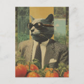Kat in een pak met zonnebril in een tomatentuin briefkaart (Voorkant)