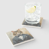 Kat in een pak stenen onderzetter (Zijkant)