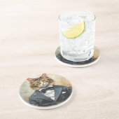 Kat in een pak zandsteen onderzetter (Zijkant)