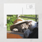 Kat in een Pet Briefkaart (Voorkant / Achterkant)