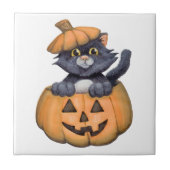 Kat in een pompoen tegeltje (Voorkant)