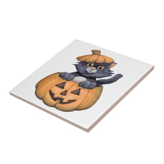 Kat in een pompoen tegeltje (Zijkant)