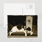 Kat in een restaurant nabij het menu in Parijs, Fr (Voorkant / Achterkant)