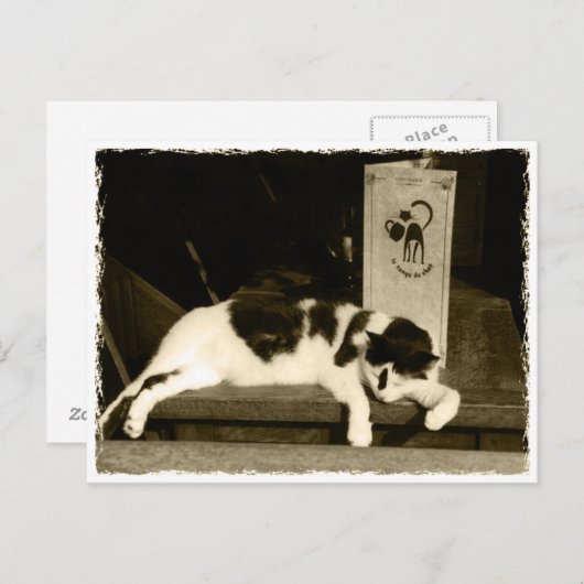 Kat in een restaurant nabij het menu in Parijs, Fr (Voorkant / Achterkant)