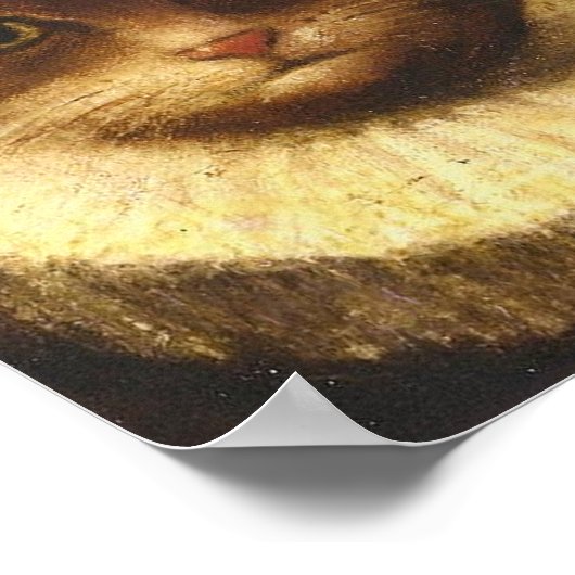 Kat in een ruff-klap Victoriaans kunst  Poster (Hoek)