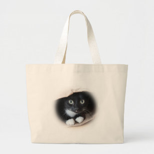 Kat in een tas