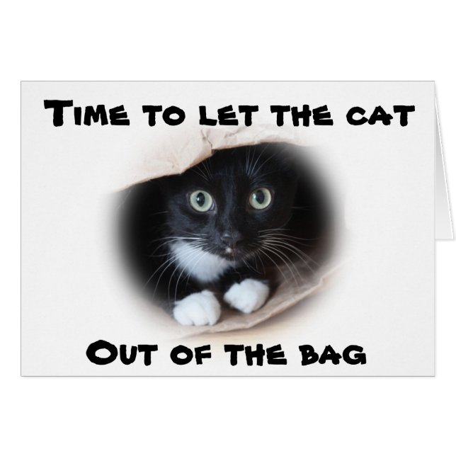 Kat in een tas (Voorkant Horizontaal)