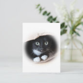 Kat in een tas briefkaart (Staand voorkant)