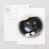 Kat in een tas briefkaart (Voorkant / Achterkant)