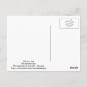 Kat in een tas briefkaart (Achterkant)