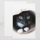 Kat in een tas briefpapier (Voorkant / Achterkant)