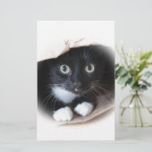 Kat in een tas briefpapier (Staand voorkant)