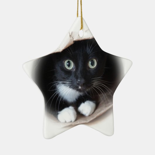 Kat in een tas keramisch ornament (Rechts)