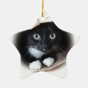 Kat in een tas keramisch ornament