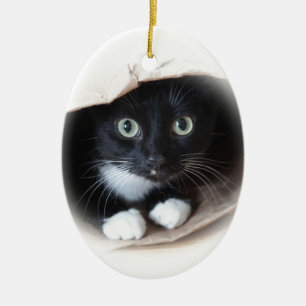 Kat in een tas keramisch ornament
