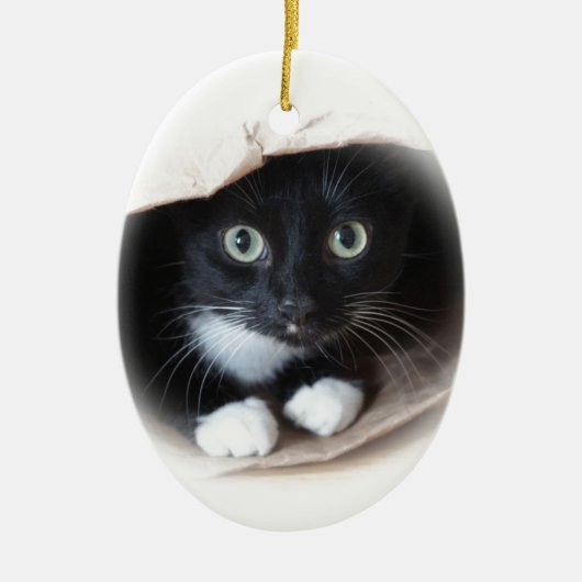Kat in een tas keramisch ornament (Voorkant)