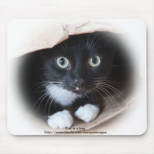 Kat in een tas muismat (Voorkant)