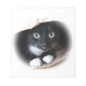 Kat in een tas notitieblok (Voorkant)