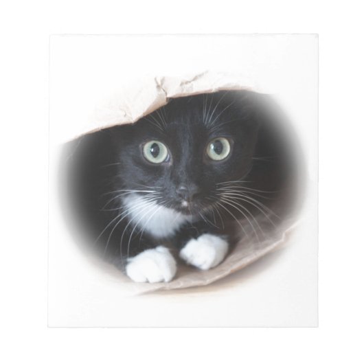 Kat in een tas notitieblok (Voorkant)