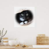 Kat in een tas poster (Keuken)