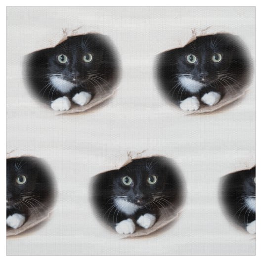 Kat in een tas stof (Swatch)