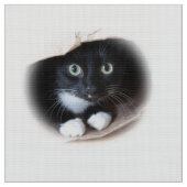 Kat in een tas stof (Close Up)