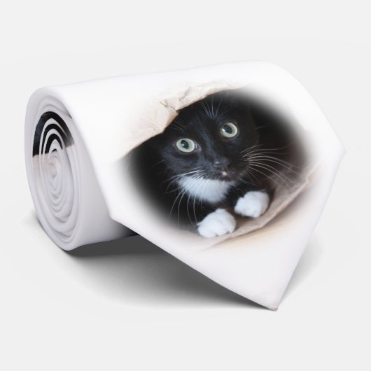 Kat in een tas stropdas (Opgerold)