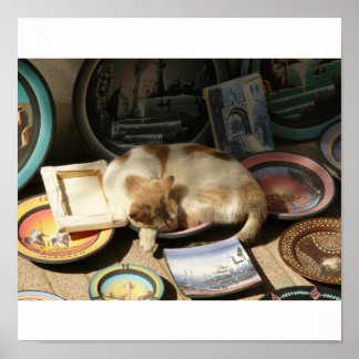 Kat in een uur....Bowl Poster