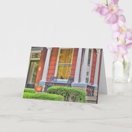 Kat in een venster kaart (Orchidee)