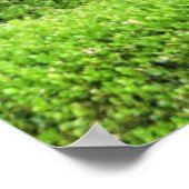 Kat in een venster poster (Hoek)