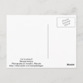 Kat in een zak 2 briefkaart (Achterkant)