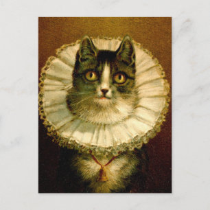 Kat in Elizabethaanse kraag Kostuum Briefkaart