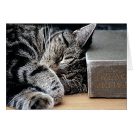 Kat in elkaar gekrompen met een goede boekenkaart