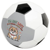 Kat in Energiebesparende Modus Voetbal (Drie kwart)
